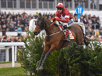 Tiger Roll harshy judged by th...