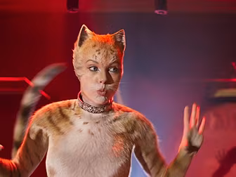 Cats Is 