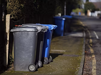 The Worst Household Jobs