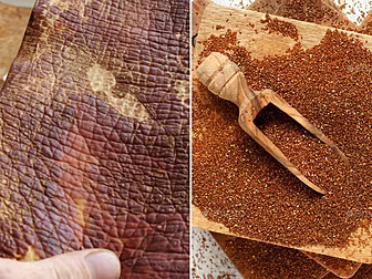 2020 Trends: Teff, Mushroom Ha...