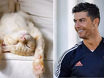 Cristiano Ronaldo Takes 5 Naps...