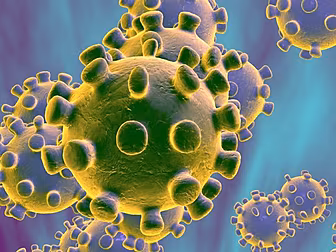 Tests On 15 Suspected Coronavi...