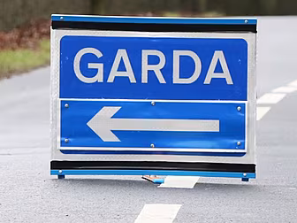 Man In His 60s Killed In Limer...