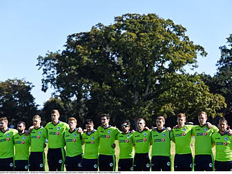 Cricket Ireland confirm T20 se...