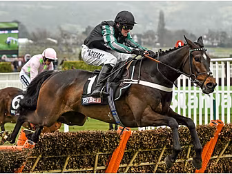 Altior will not run in the Cha...