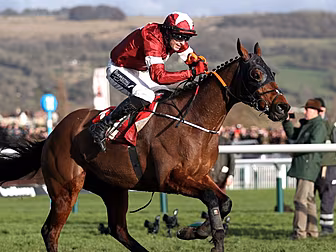 Tiger Roll remains on course f...