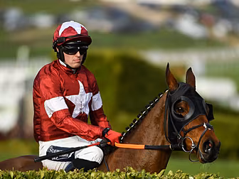 Gordon Elliott keen to run 'sp...
