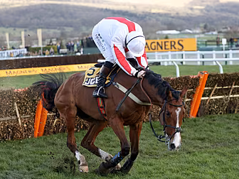 Burning Victory takes JCB Triu...