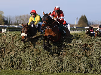 2020 Grand National is off due...