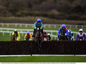 HRI to make horseracing facili...