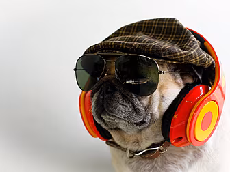 Grab Your Headphones. You NEED...