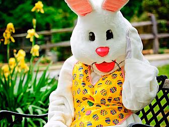 Easter Bunny Allowed To Delive...