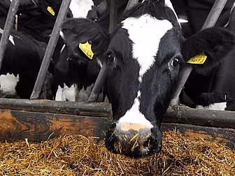 EU Approves Mercosur Trade Dea...