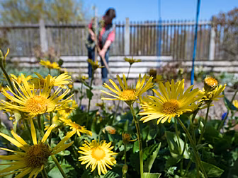 The Ultimate Garden Gadgets Fo...