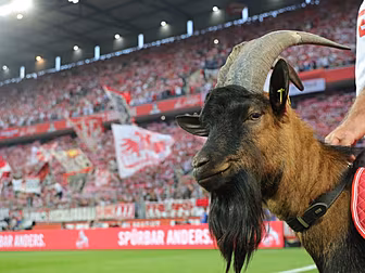 Bundesliga return setback as t...