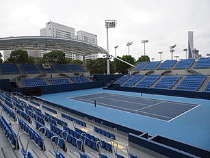 Tennis suspension extended unt...