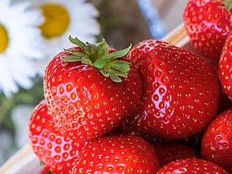The Power Of The Strawberry wi...