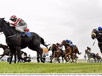 HRI maintain flat group horser...