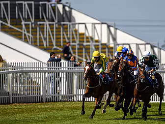 HRI to allow two owners on cou...
