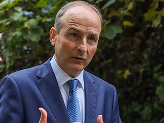 Fianna Fáil TDs Criticise Mich...