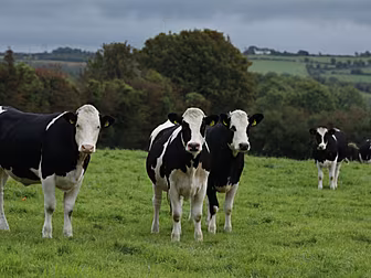 Farmers To Cut Emissions By 25...