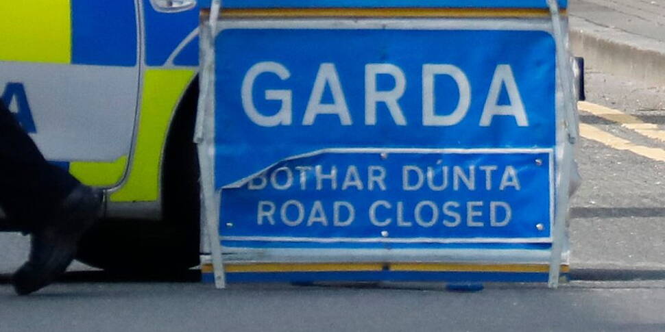 Teenager Killed After Being Hi...