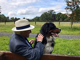 President Higgins' Dog Síoda D...
