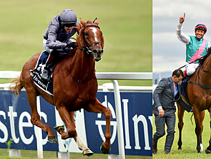 Serpentine added to Enable's P...