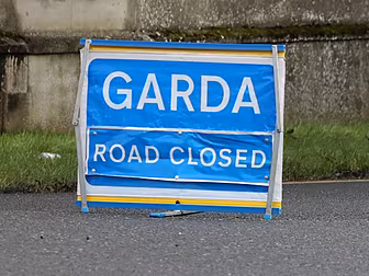 Woman (60s) Killed In Tipperar...