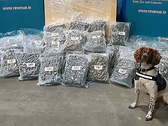 Detector Dog Finds Cannabis Wo...