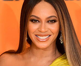 Beyonce Has Turned To Beekeepi...