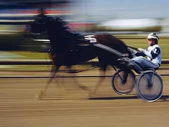 Sulky Racing Rules To Be Broug...