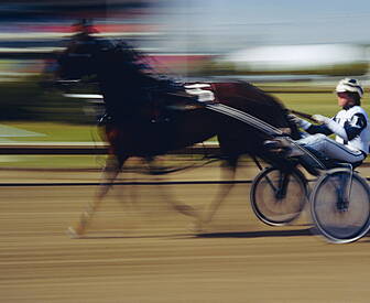 Sulky Racing Rules To Be Broug...