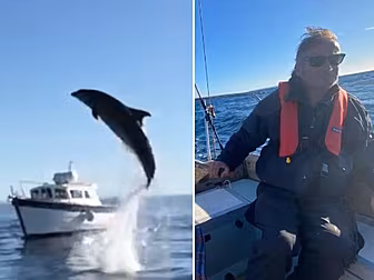 Galway Man Captures Video Of F...