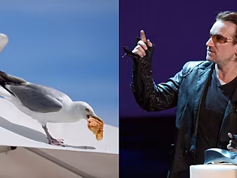 U2's New Direction Revealed In...