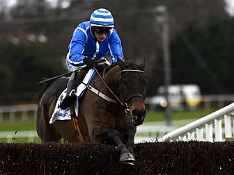Willie Mullins | Energumene ou...