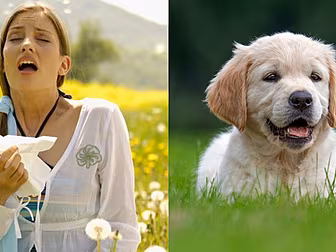 Sick Of Sneezing? Allergy Expe...