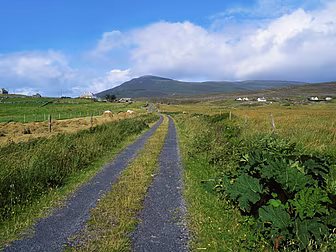 Rural TDs Have Grave Concerns...