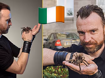 Dublin Man On His Lesser Loved...