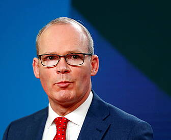 Coveney Insists Deleting Texts...