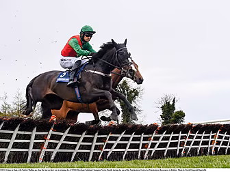 Echoes In Rain lands Novice Hu...
