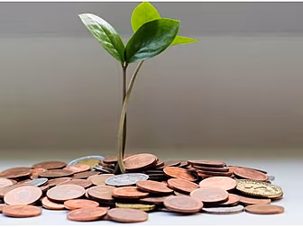 A Financial Advisor On What Yo...