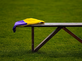 Wexford and Kilkenny game post...