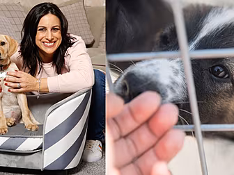 Lucy Kennedy Shares Her Experi...