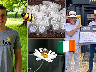 This 15 Year-Old Dubliner Is D...