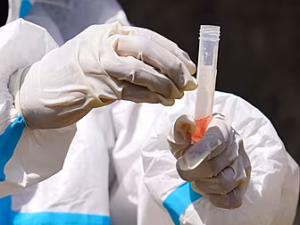 India Report New Coronavirus V...