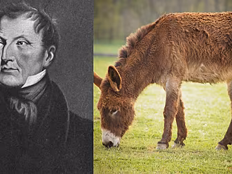 The 'Greatest Irishman' Who Br...