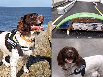 Detector Dogs Help Recover Her...