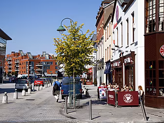 Cork City Council Defend Robot...