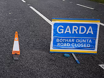 Woman Dies And Two Children An...